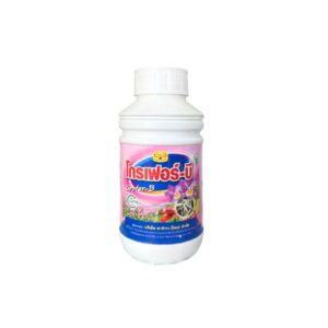 b1 grofer - b1 trắng thái lan 500ml