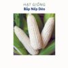 hạt giống bắp nếp dẻo