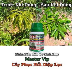 Master Vip Phục Hồi Diệp Lục, tăng quang hợp