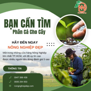 Phân Cá Cho Cây - Phân Cá Cho Lan